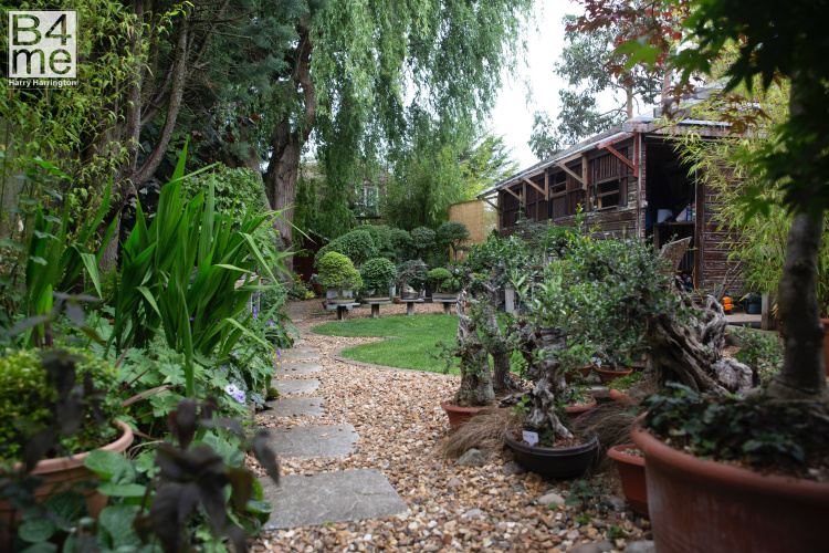 Bonsai garden